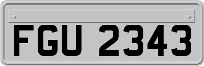 FGU2343