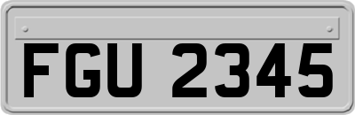 FGU2345