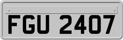 FGU2407