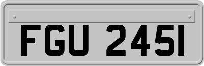 FGU2451