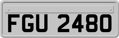 FGU2480