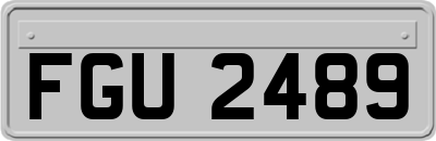 FGU2489