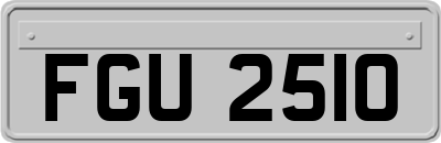 FGU2510