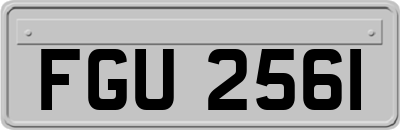 FGU2561