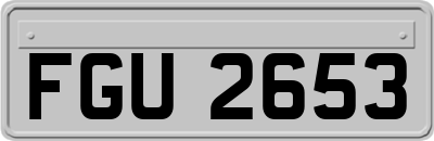 FGU2653