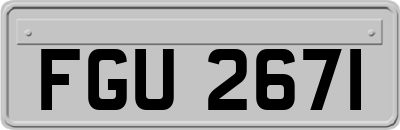 FGU2671