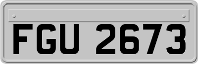 FGU2673