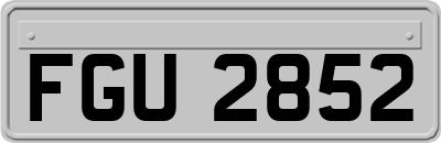 FGU2852