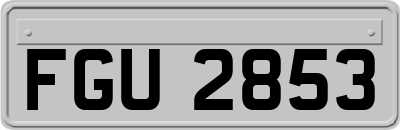 FGU2853