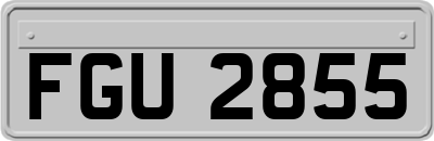 FGU2855