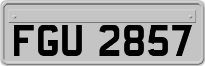 FGU2857