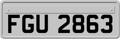 FGU2863