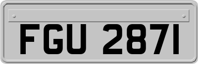 FGU2871
