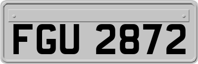 FGU2872