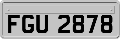 FGU2878