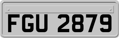FGU2879