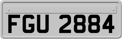 FGU2884