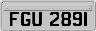 FGU2891