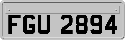 FGU2894