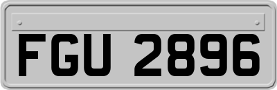 FGU2896