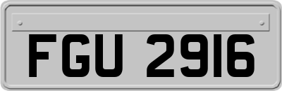 FGU2916