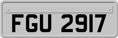 FGU2917