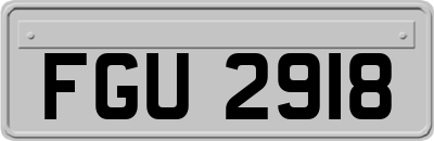 FGU2918