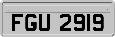 FGU2919