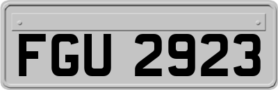 FGU2923
