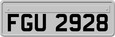 FGU2928