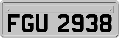 FGU2938