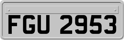 FGU2953