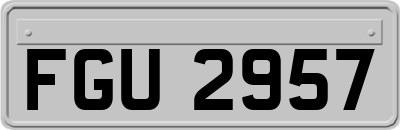 FGU2957