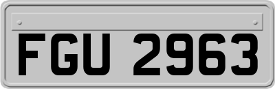 FGU2963