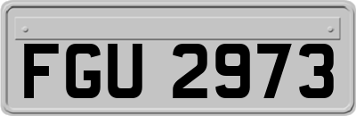 FGU2973
