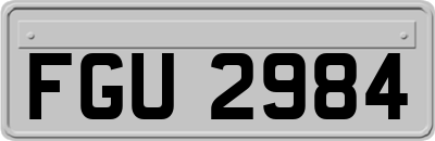 FGU2984