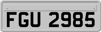 FGU2985