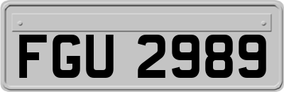 FGU2989