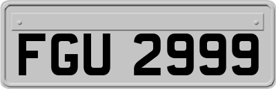 FGU2999