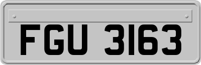 FGU3163