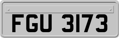 FGU3173