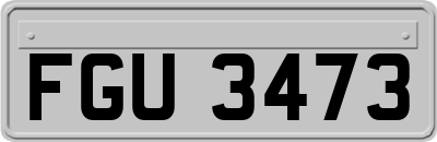 FGU3473