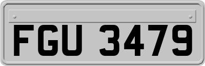 FGU3479