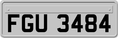 FGU3484