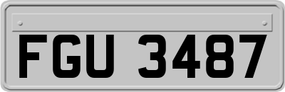 FGU3487