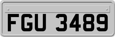 FGU3489