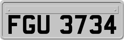 FGU3734
