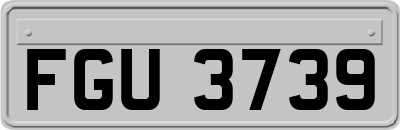 FGU3739