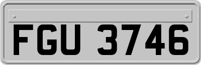 FGU3746