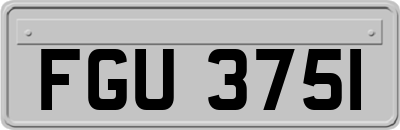 FGU3751